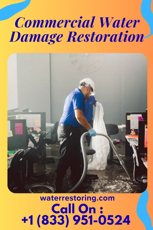 Commercial Water Damage Restoration in Makaha Valley, HI